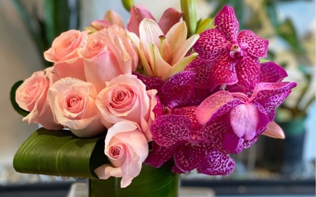 Luxury Offers HBloom