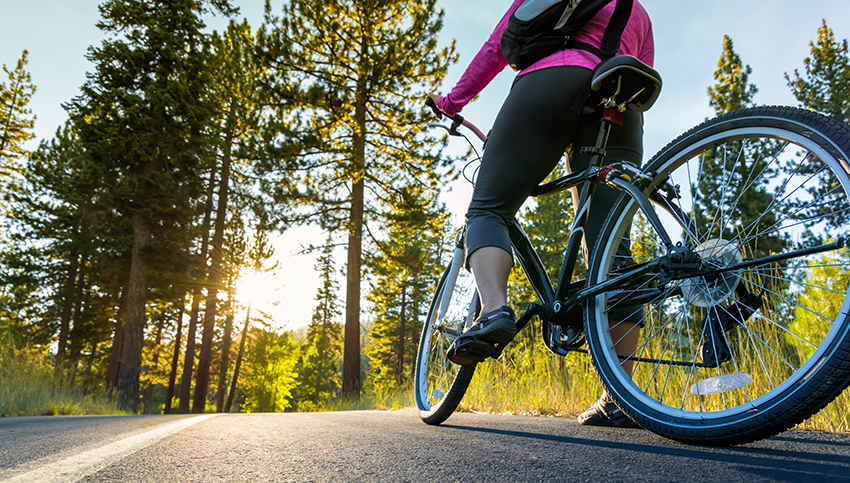 Luxury Travel Duvine